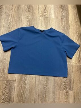 Uniqlo Crewneck Tee in Royal Blue